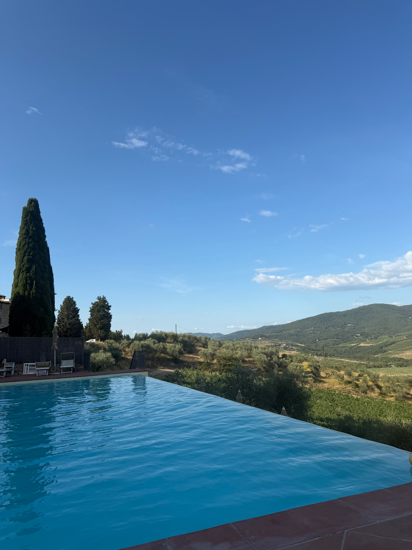 Infinity pool framed by cypress trees with vineyards beyond, Castello Vicchiomaggio, Tuscany