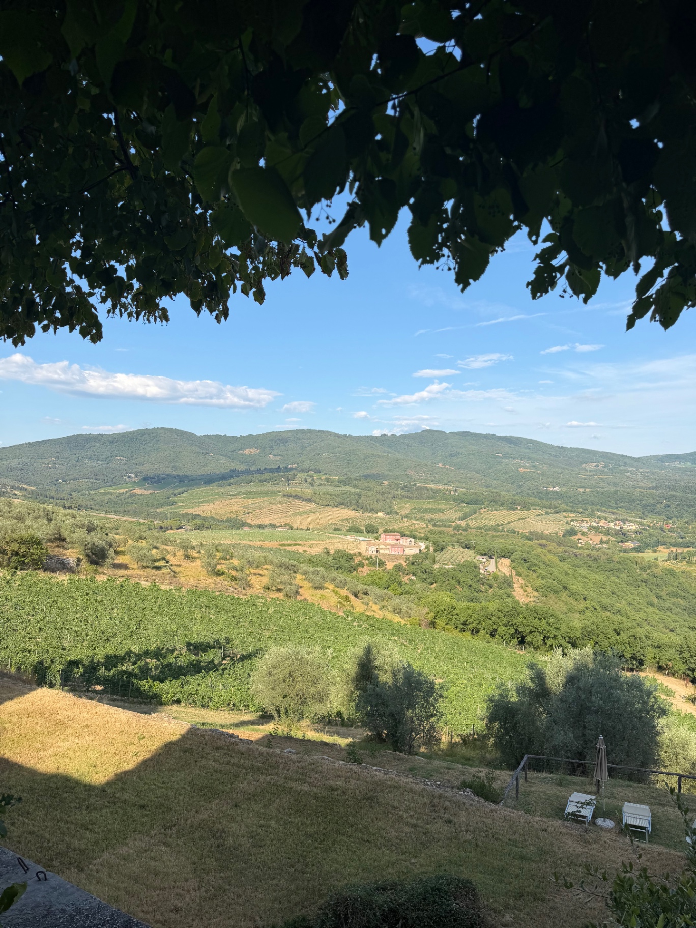 View across the Chianti vineyards and hills from Castello Vicchiomaggio in Tuscany